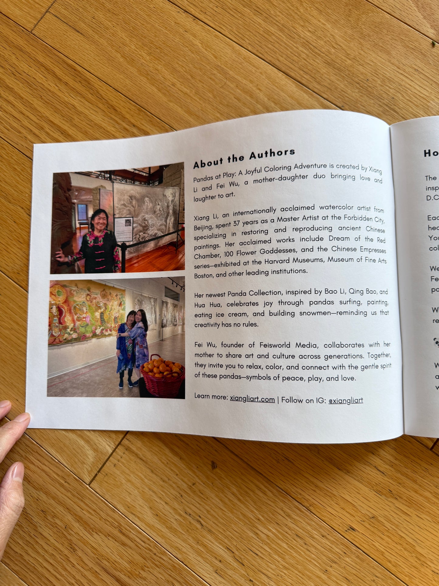 Xiang Li's Panda Coloring Book "Pandas At Play" Full Color 48-Page for Children and Adults