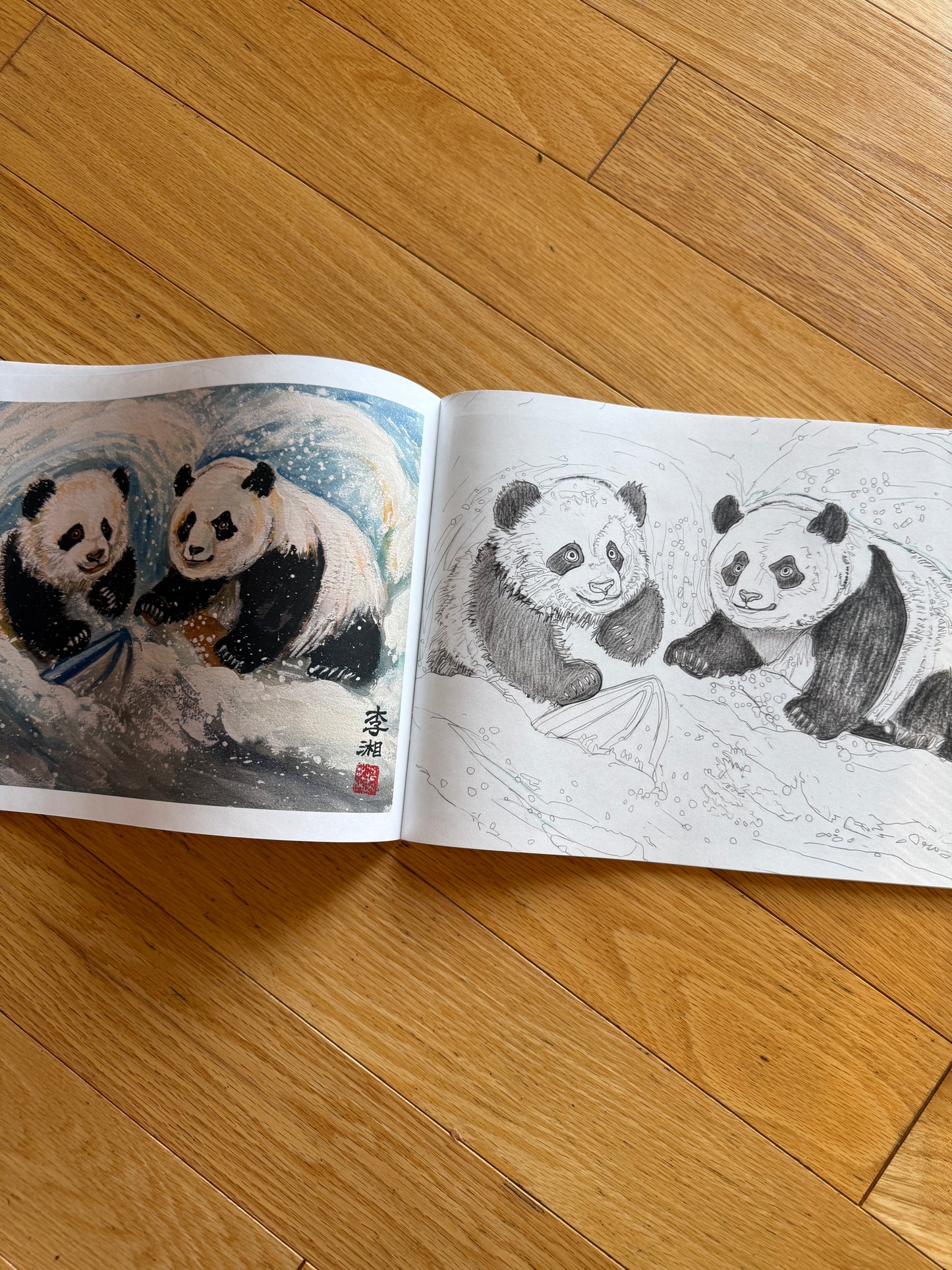 Xiang Li's Panda Coloring Book "Pandas At Play" Full Color 48-Page for Children and Adults